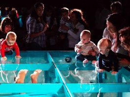 Aupapá para bebés en Santander